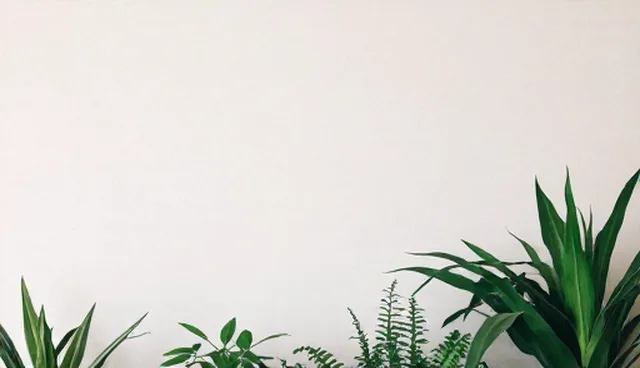技术服务与支持：选型关注点的具体分析